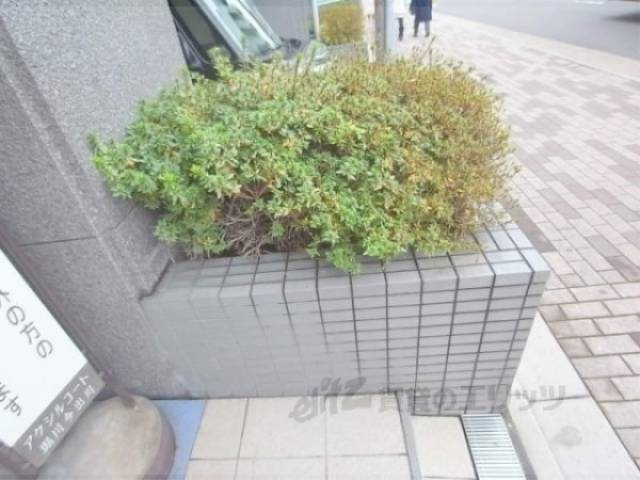 植栽