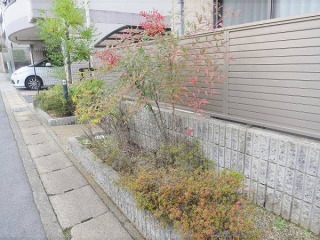 植栽