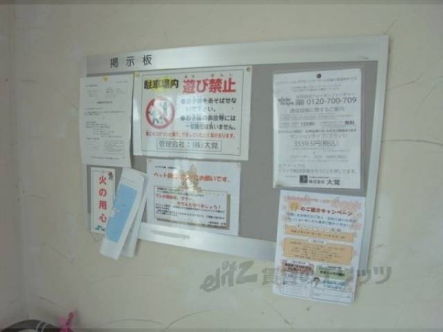 掲示板