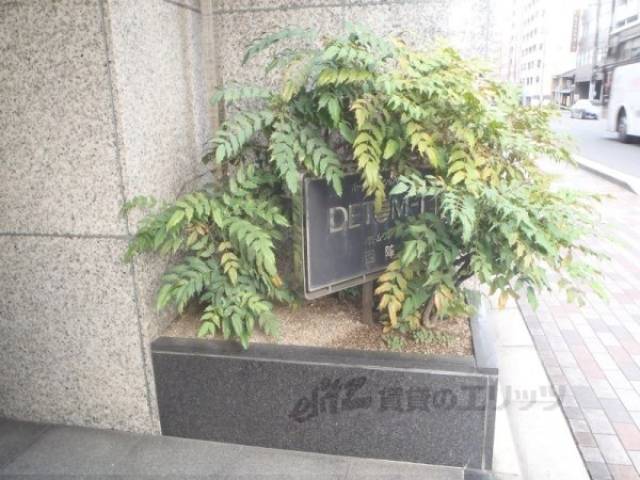植栽