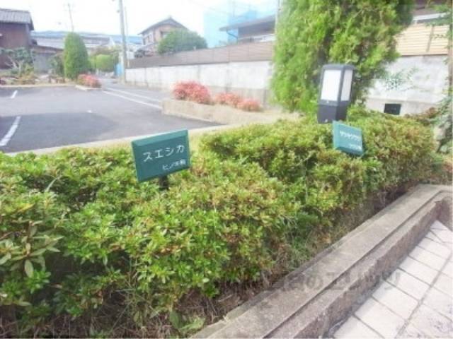 植栽