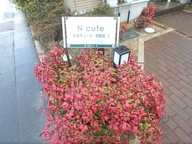 植栽