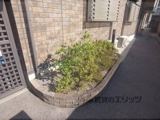 植栽