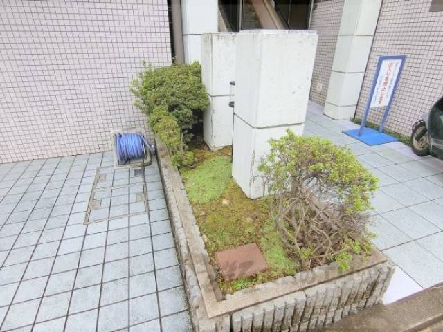 植栽