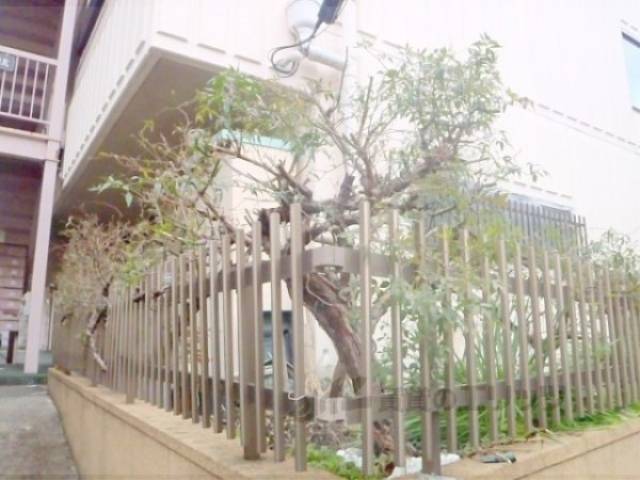 植栽