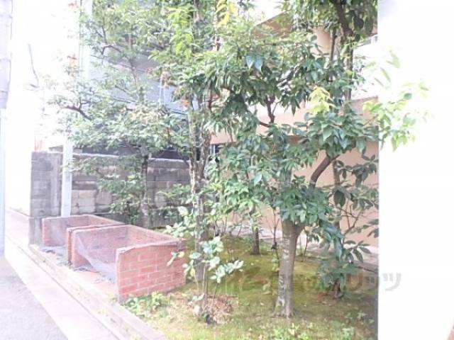 植栽