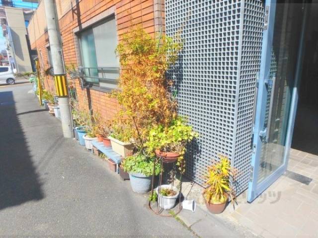 植栽