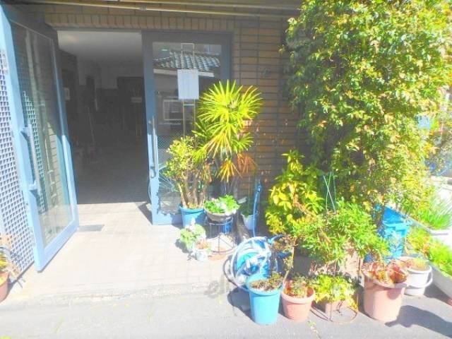植栽