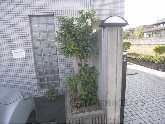 植栽