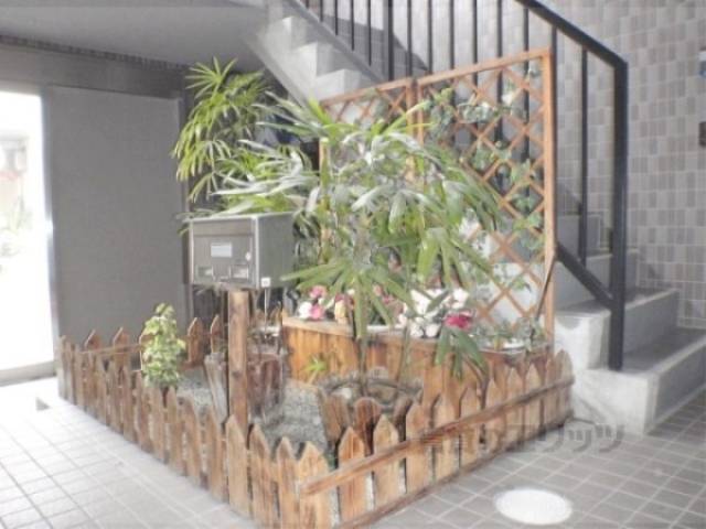 植栽