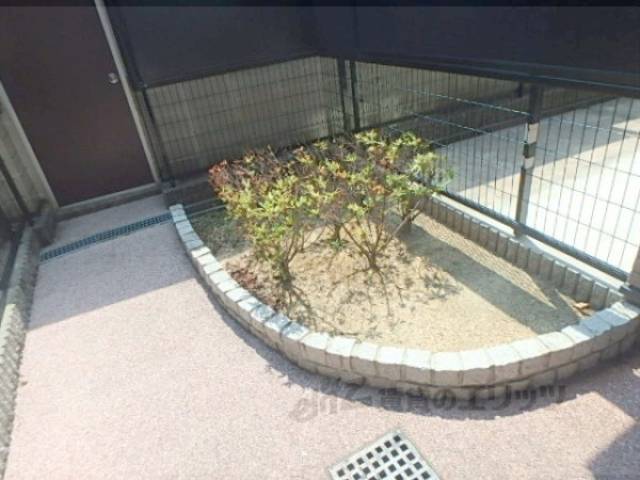 植栽