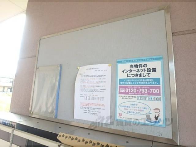 掲示板