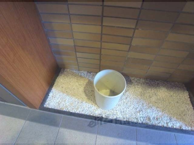 不要チラシ捨て