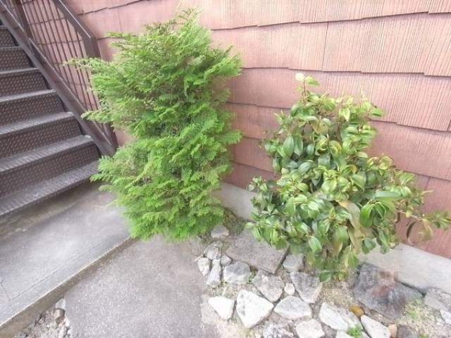 植栽