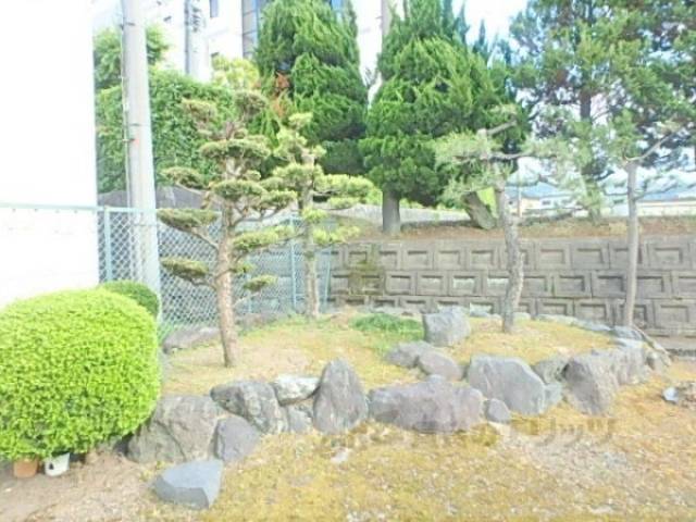 植栽
