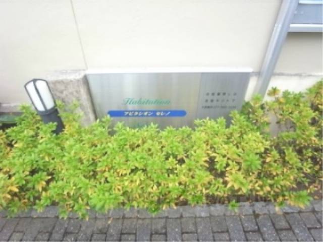 植栽