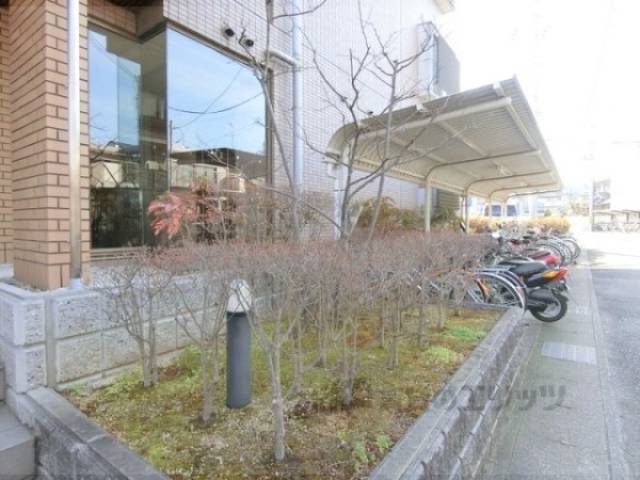 植栽