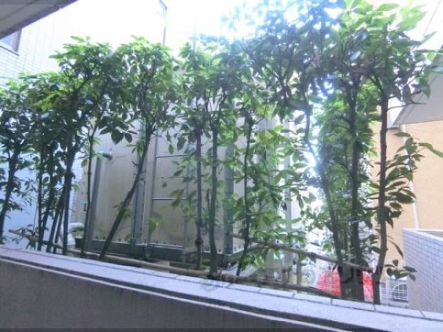 植栽