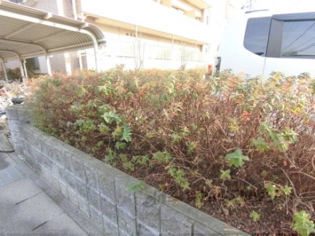 植栽