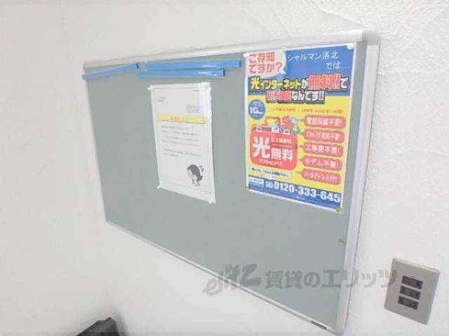 掲示板