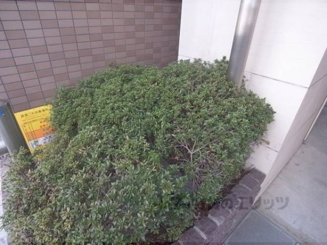 植栽