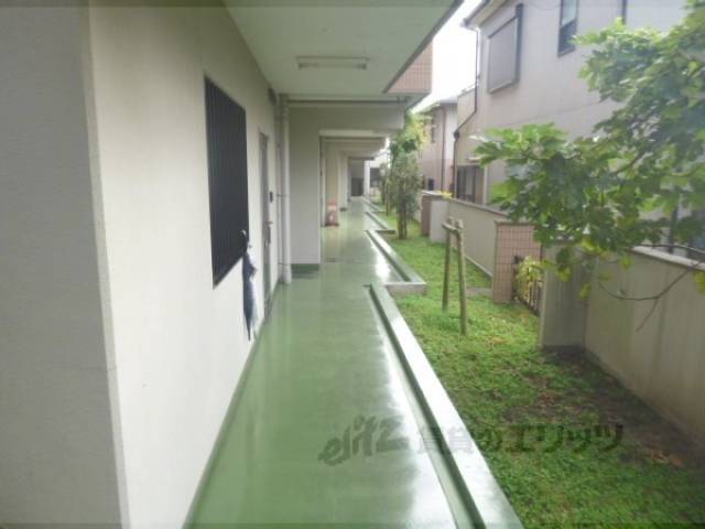 通路