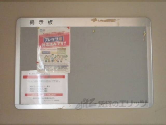 掲示板