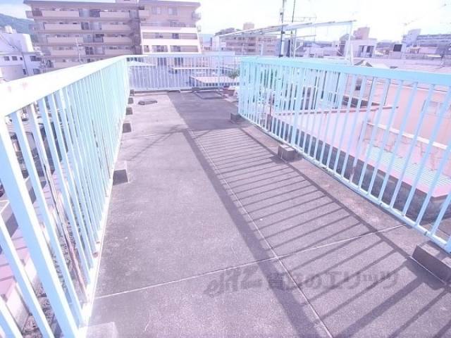 屋上