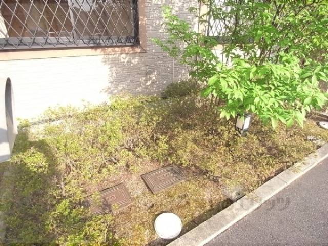 植栽