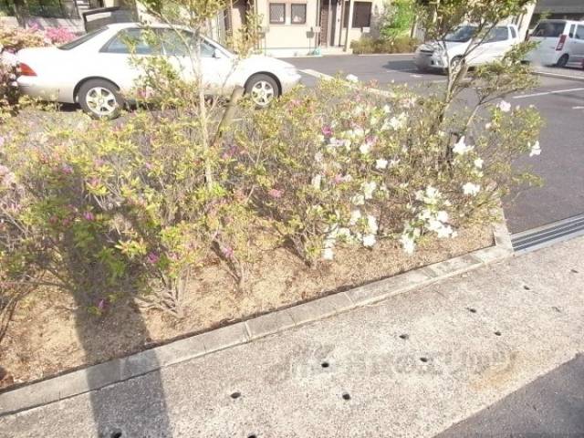 植栽