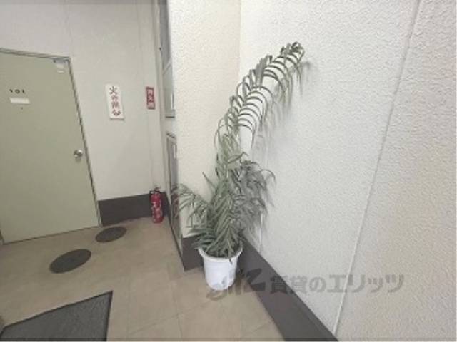 植栽