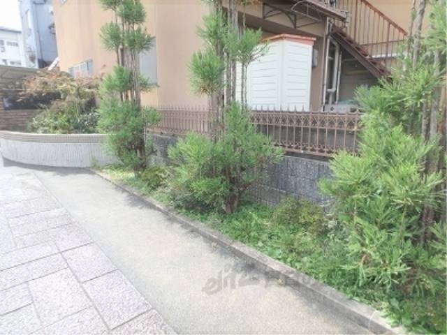 植栽