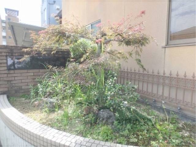 植栽