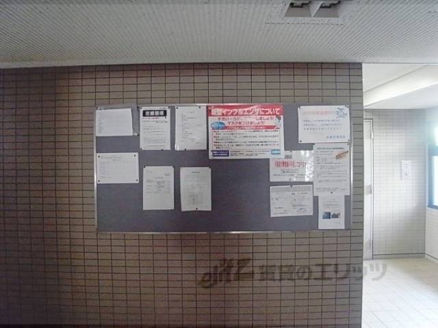 掲示板