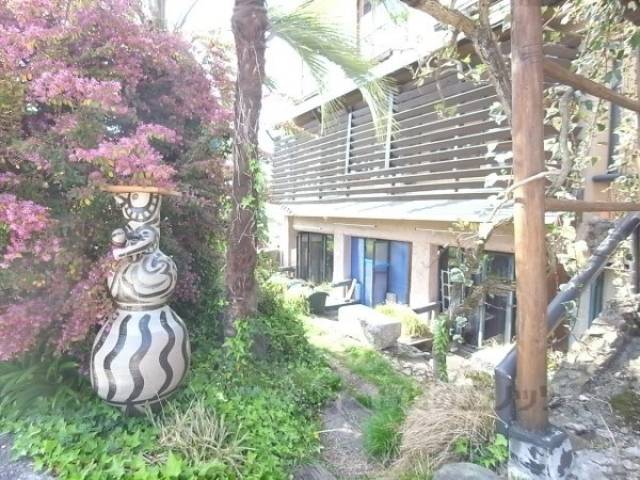 植栽