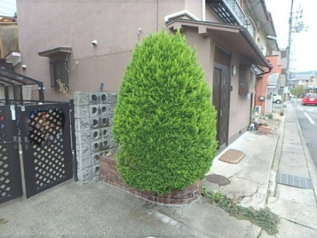 植栽