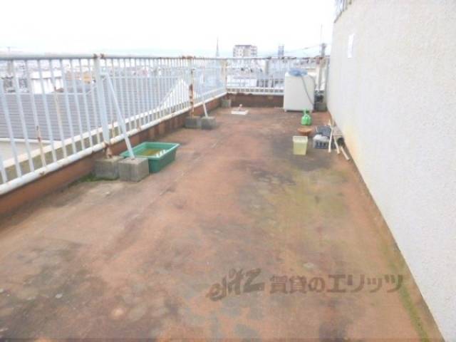 屋上