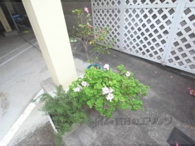 植栽
