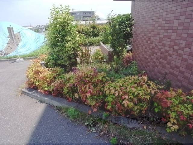 植栽