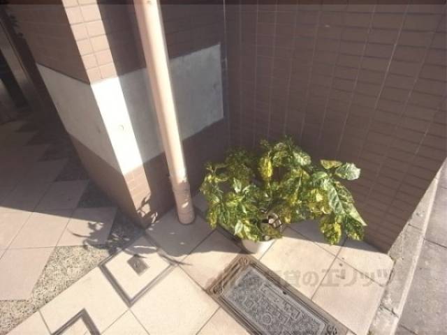 植栽