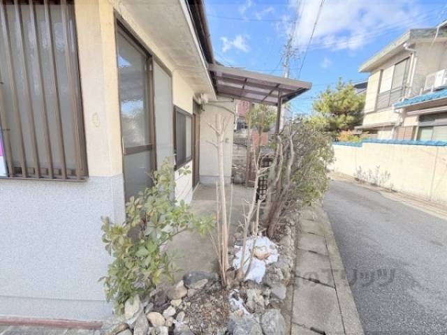 植栽