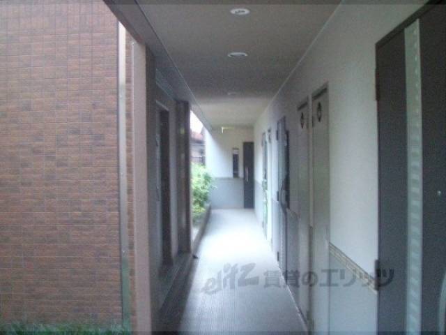 通路