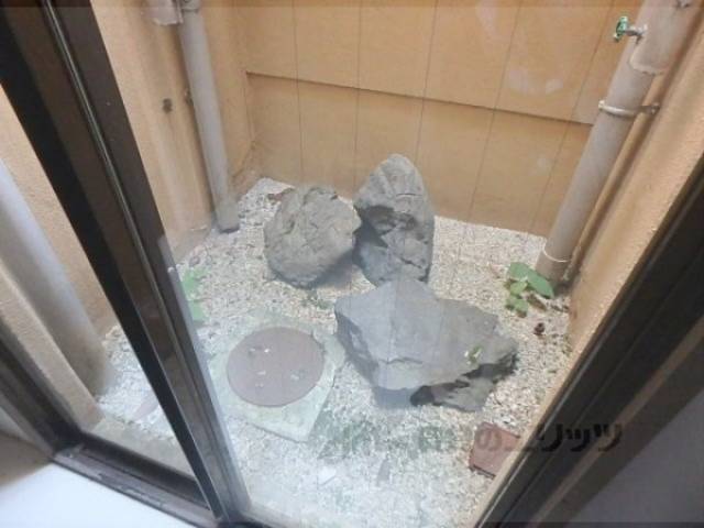 中庭