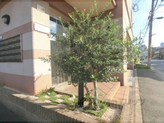 植栽