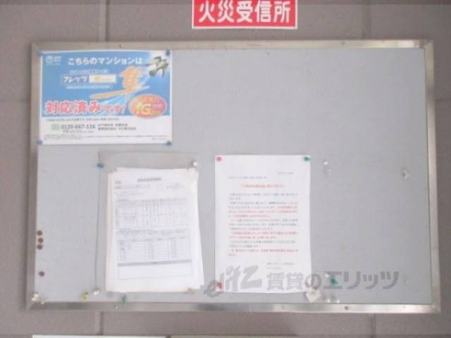 掲示板