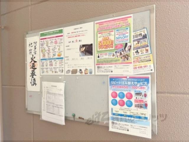 掲示板