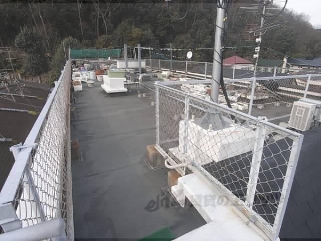 屋上