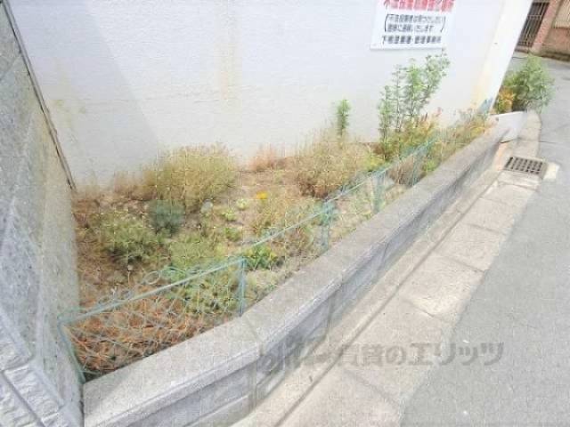 植栽
