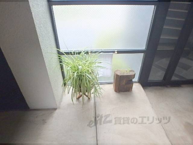 植栽