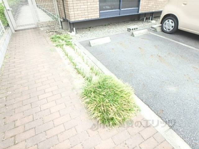 植栽